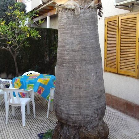 Апартаменты La Casa De La Palmera Торевьиа Экстерьер фото