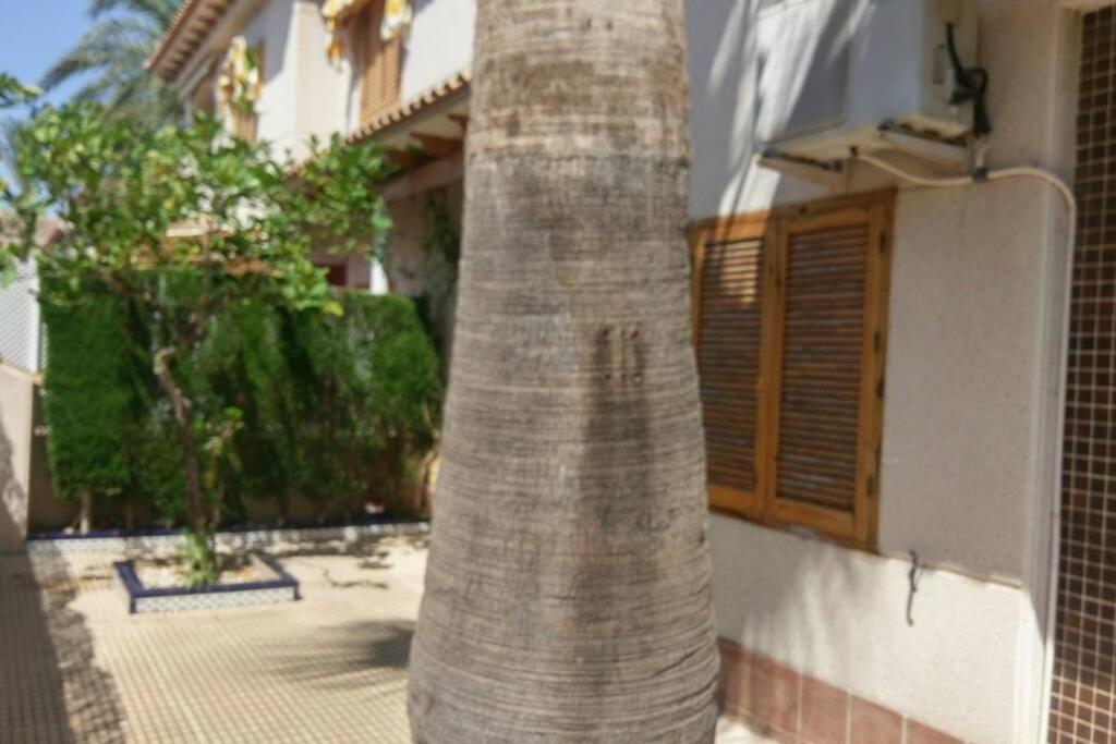 Апартаменты La Casa De La Palmera Торевьиа Экстерьер фото