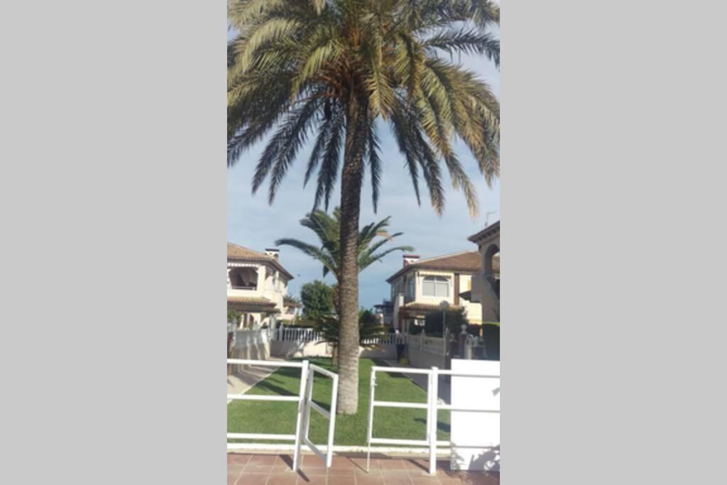 Апартаменты La Casa De La Palmera Торевьиа Экстерьер фото